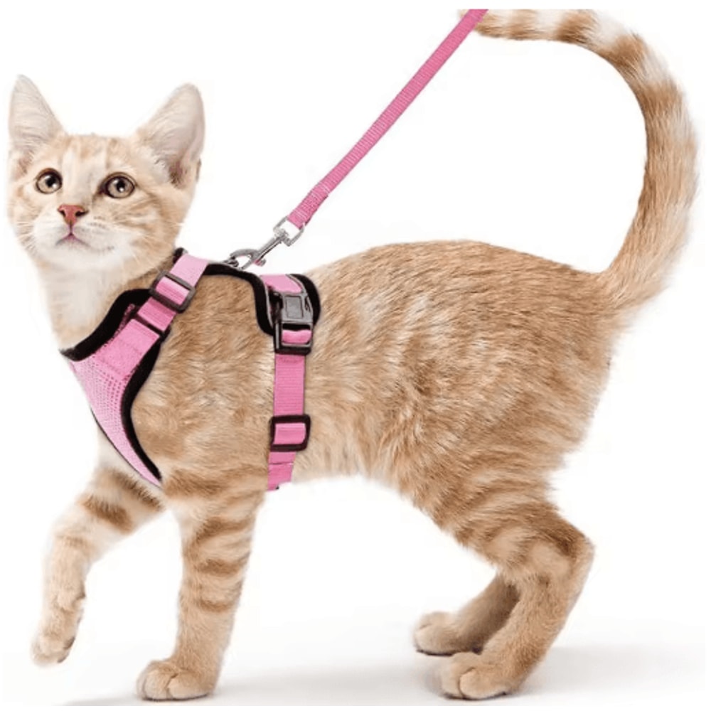 EasyControl Escape Proof Cat Harness Leash Vest For Safe Walking 0