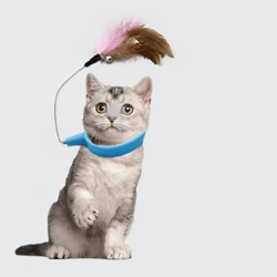 feather bell cat teaser collar self-entertainment interactive toy for cats
