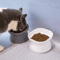 Elevated AntiRollover Cat Bowl Neck Protection Pet Feeding Bowl With Large Opening 3
