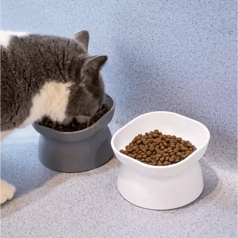 Elevated AntiRollover Cat Bowl Neck Protection Pet Feeding Bowl With Large Opening 3