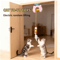 Smart Hanging Door Cat Toy Automatic Swing Feather Teaser With Dual Ropes 11
