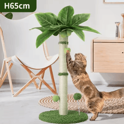 65cm cat scratching post tree – sisal rope scratcher with interactive ball toys