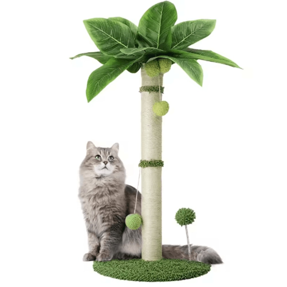 65cm Cat Scratching Post Tree Sisal Rope Scratcher With Interactive Ball Toys 6