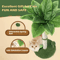 65cm Cat Scratching Post Tree Sisal Rope Scratcher With Interactive Ball Toys 9