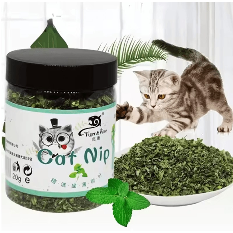 Organic Natural Catnip Toy MintFlavored Interactive Cat Entertainment Toy 3