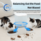 6L Smart Automatic Pet Feeder WiFi Timer Food Dispenser With Stainless Steel Bowl 4