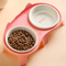Elevated Ceramic Double Cat Bowl Slanted Food Water Feeding Set For Cats 8