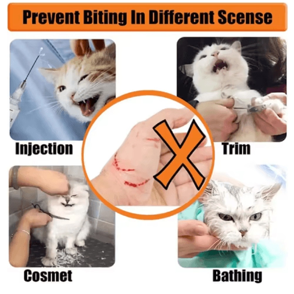 Breathable Cat Head Protection Ball Pet Grooming Safety Mask Swimming Helmet 3