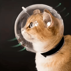 breathable cat head protection ball – pet grooming safety mask & swimming helmet