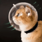 Breathable Cat Head Protection Ball Pet Grooming Safety Mask Swimming Helmet 0