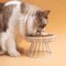 Raised Ceramic Cat Bowl Set Elevated AntiSpill Feeding Bowl With Stand 6
