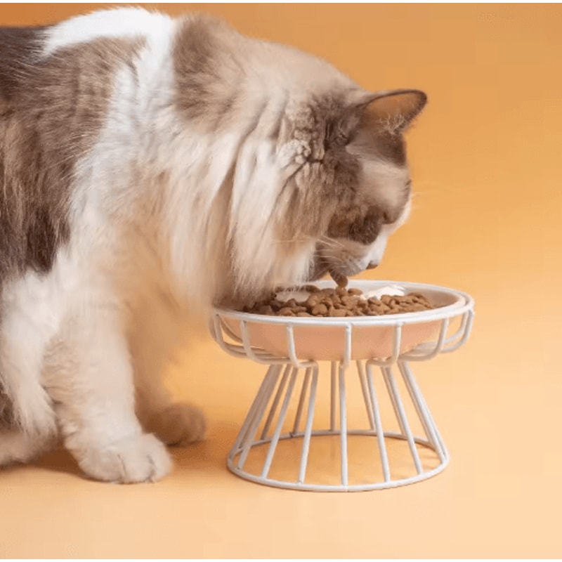 Raised Ceramic Cat Bowl Set Elevated AntiSpill Feeding Bowl With Stand 6