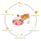 Interactive Cat Puzzle Toy Spinning Track Balls Feather Teaser Brain Game For Kittens 12