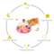 Interactive Cat Puzzle Toy Spinning Track Balls Feather Teaser Brain Game For Kittens 12