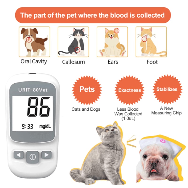 Pet Glucose Monitoring Kit Easy NoCoding Blood Sugar Monitor For Dogs Cats 6