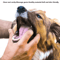 3PCS Pet Finger Toothbrush Set Soft Dental Cleaning Brush For Dogs Cats 7