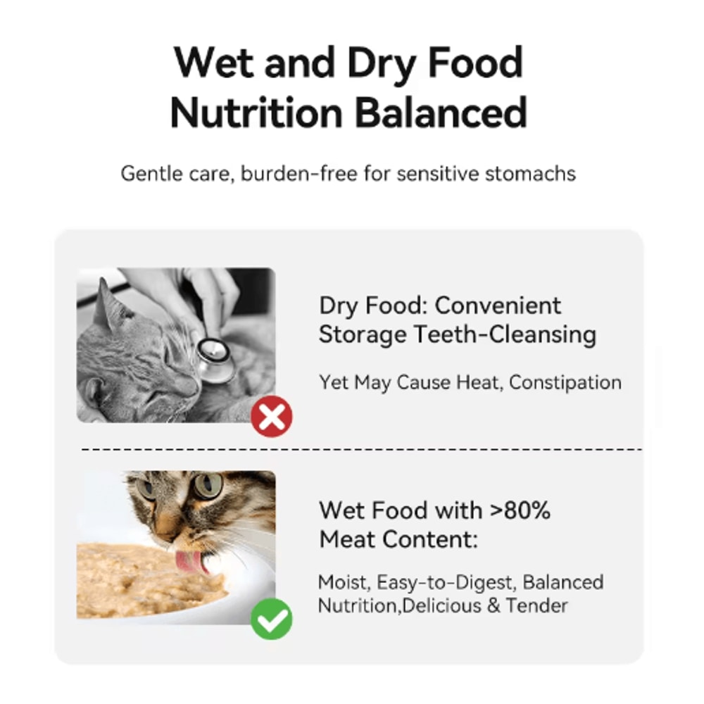 ROJECO 4Meal Wireless Automatic Pet Feeder Smart Wet Dry Food Dispenser For Cats Dogs 2