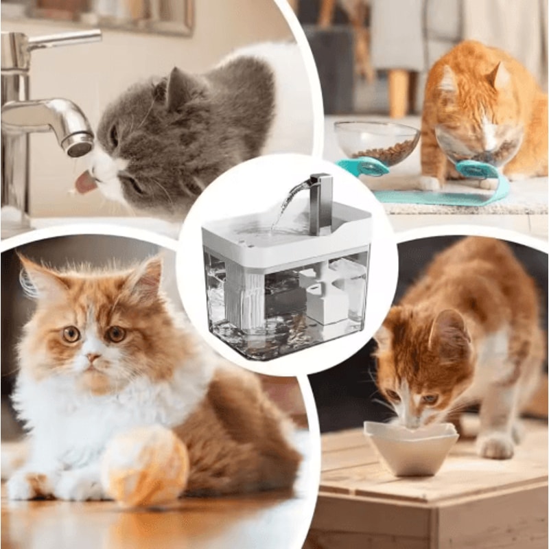 15L Automatic Cat Water Fountain Transparent USB Pet Water Dispenser With Quiet Pump 7