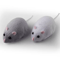 RC Mouse Cat Toy Infrared Remote Control Moving Rat Toy For Interactive Pet Play 3