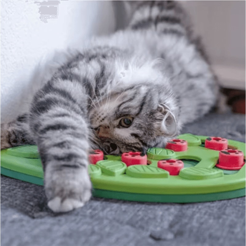 Rainy Day Puzzle Play Interactive Cat Treat Puzzle Scratch Board Toy 1