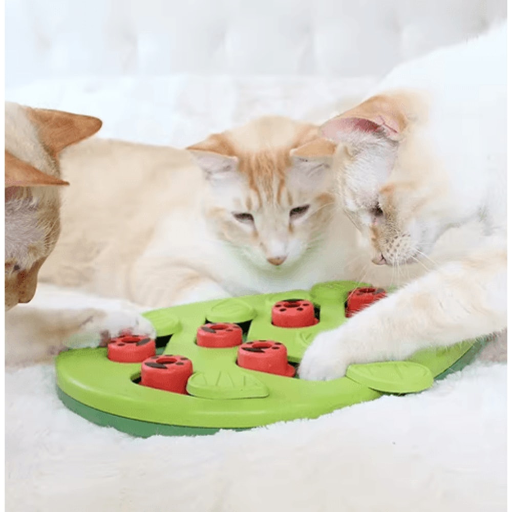 Rainy Day Puzzle Play Interactive Cat Treat Puzzle Scratch Board Toy 2
