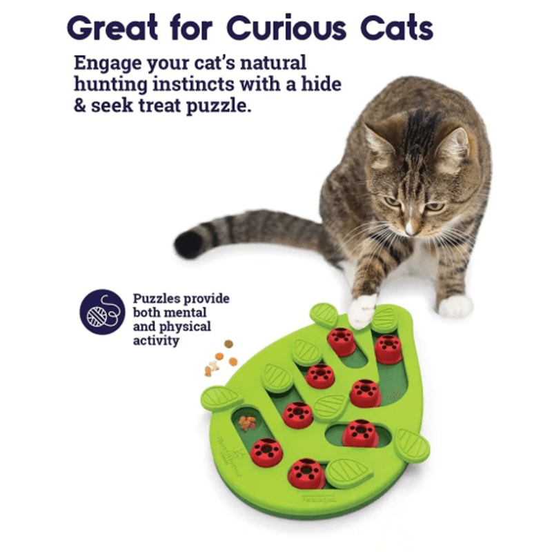 Rainy Day Puzzle Play Interactive Cat Treat Puzzle Scratch Board Toy 4