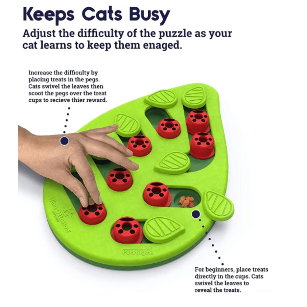 Rainy Day Puzzle Play Interactive Cat Treat Puzzle Scratch Board Toy 5