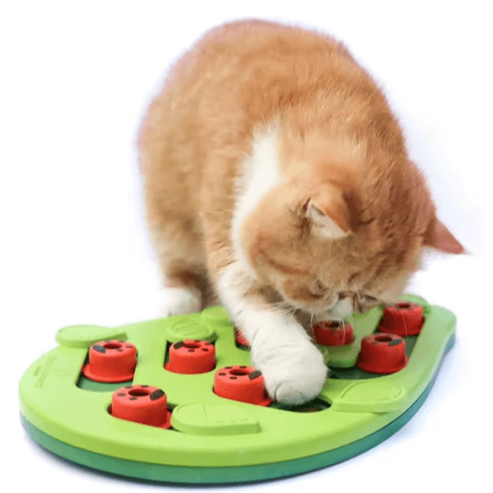 Rainy Day Puzzle Play Interactive Cat Treat Puzzle Scratch Board Toy 0