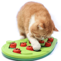 rainy day puzzle & play interactive cat treat puzzle & scratch board toy