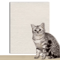 SelfAdhesive Cat Scratching Mat Trimmable Furniture Wall Protector 6