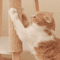 Natural Sisal Cat Scratcher Mat Floor Scratch Pad For Furniture Protection 5