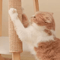 Natural Sisal Cat Scratcher Mat Floor Scratch Pad For Furniture Protection 5