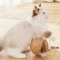 Interactive Sisal Cat Scratching Ball Toy For Kittens Indoor Cats 9