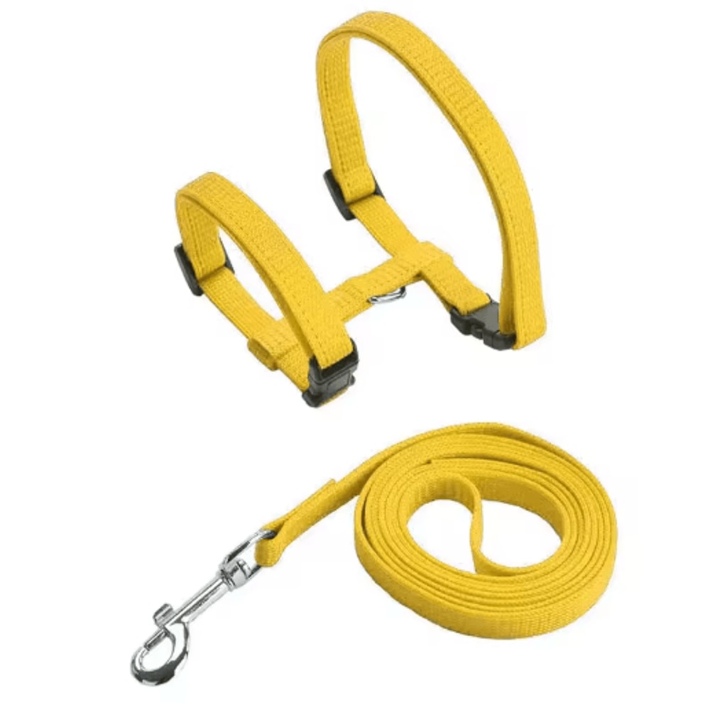 Escape Proof Pet Harness And Leash Set For Small Dogs Cats 2