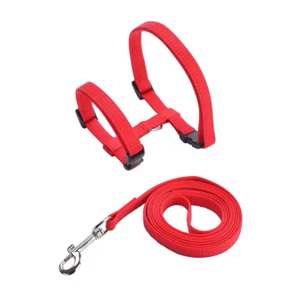 Escape Proof Pet Harness And Leash Set For Small Dogs Cats 4
