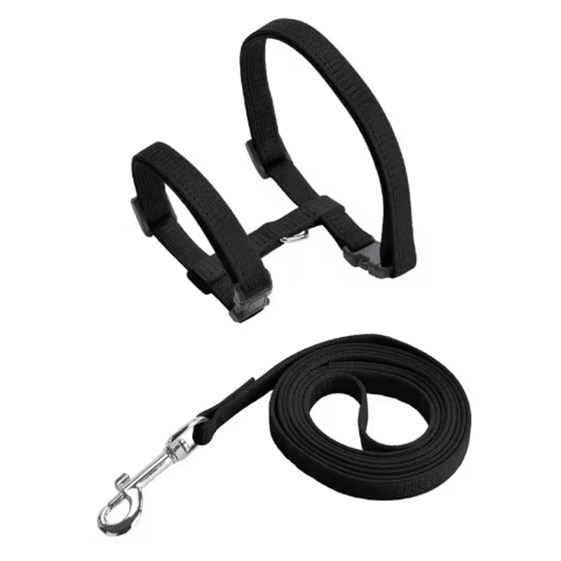 Escape Proof Pet Harness And Leash Set For Small Dogs Cats 6
