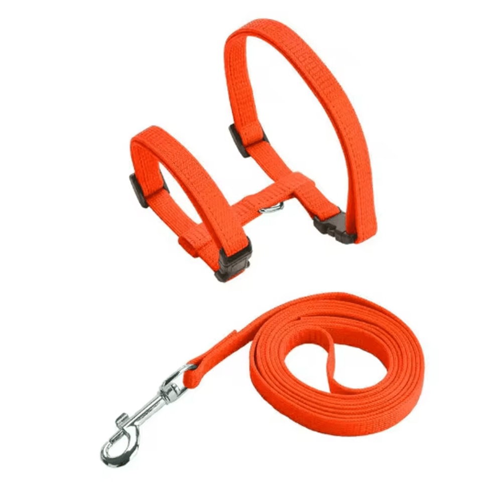 Escape Proof Pet Harness And Leash Set For Small Dogs Cats 7