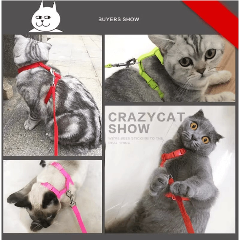 Escape Proof Pet Harness And Leash Set For Small Dogs Cats 13