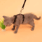 Escape Proof Pet Harness And Leash Set For Small Dogs Cats 14