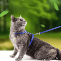 escape proof pet harness and leash set for small dogs & cats