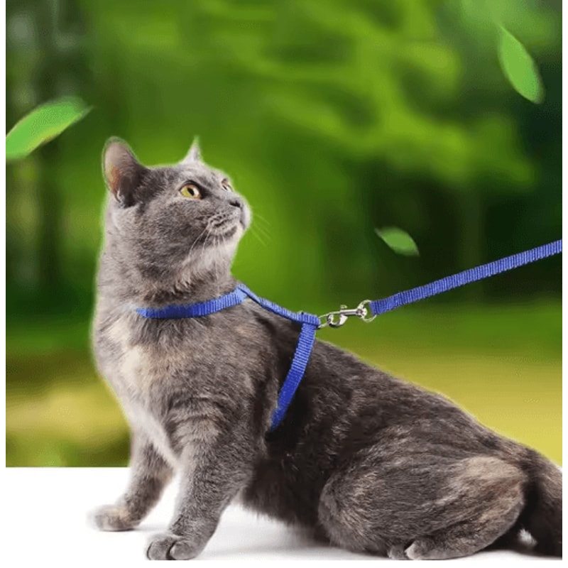 Escape Proof Pet Harness And Leash Set For Small Dogs Cats 0