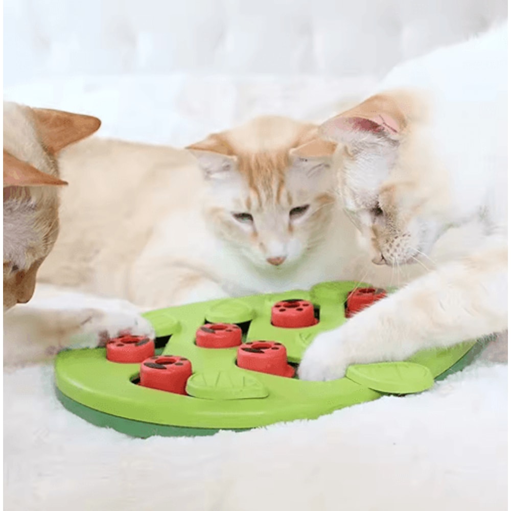 Interactive Cat Puzzle Toy With Adjustable Treat Feeding Challenge 3