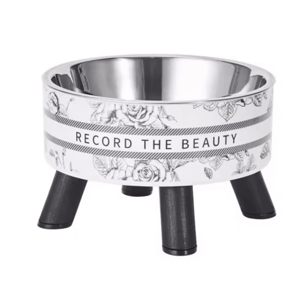 Stainless Steel Elevated Pet Bowls Raised Food Water Dish Set 1