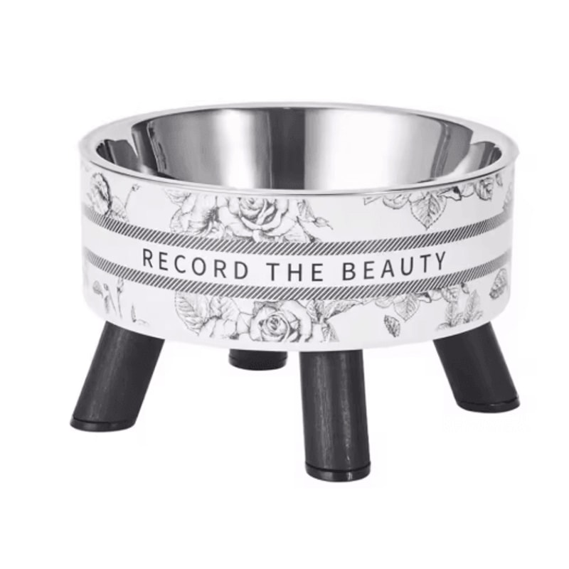 Stainless Steel Elevated Pet Bowls Raised Food Water Dish Set 1