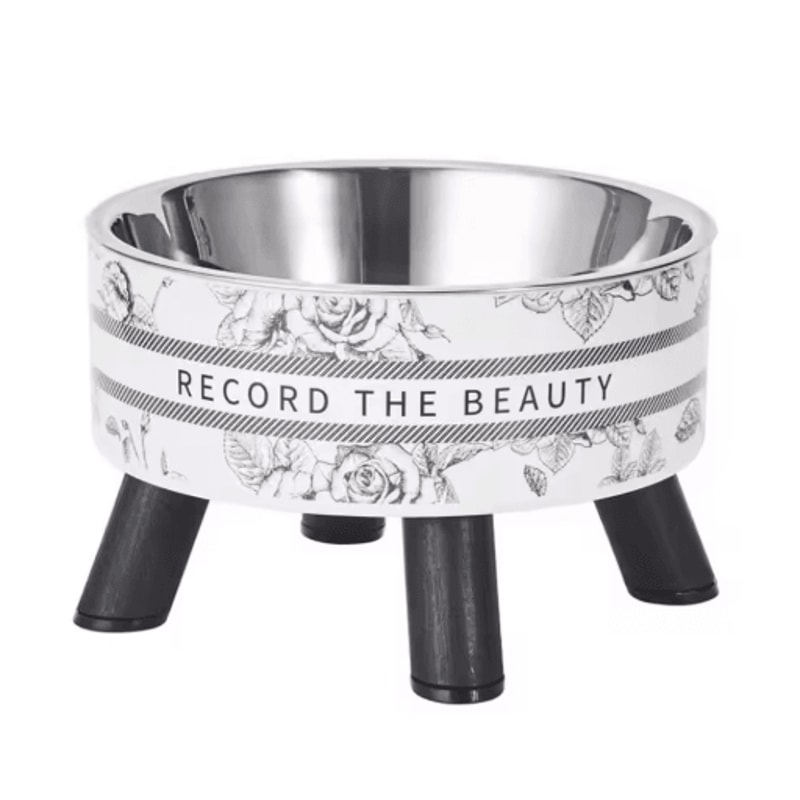 Stainless Steel Elevated Pet Bowls Raised Food Water Dish Set 6
