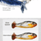 Interactive Flopping Fish Cat Toy With Motion Sensor Wagging Tail Action 6