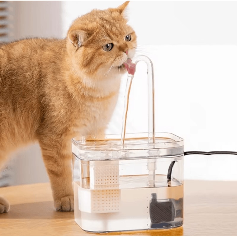 CrystalFlow Transparent Automatic Pet Water Fountain With Circulating Fresh Water 7