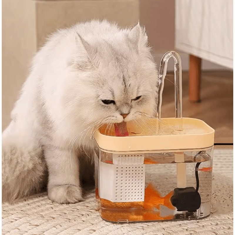 CrystalFlow Transparent Automatic Pet Water Fountain With Circulating Fresh Water 8
