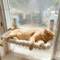 Foldable Cat Window Hammock Suction Cup Hanging Bed For Cats 0