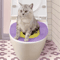 Portable Washable Cat Travel Toilet NonSlip Reusable Pet Litter Box 2